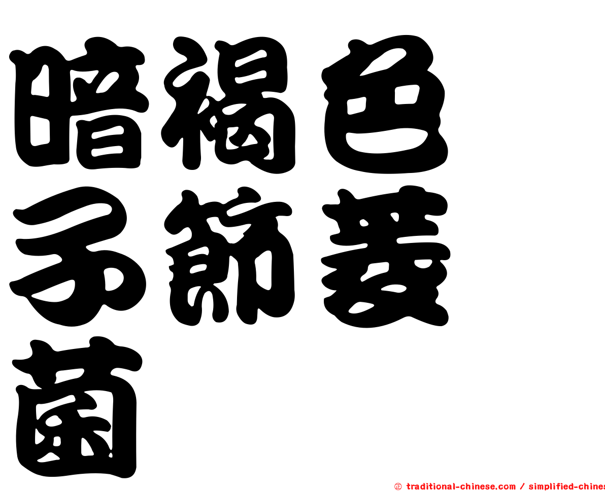 暗褐色孢子節菱孢菌