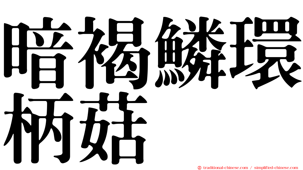 暗褐鱗環柄菇