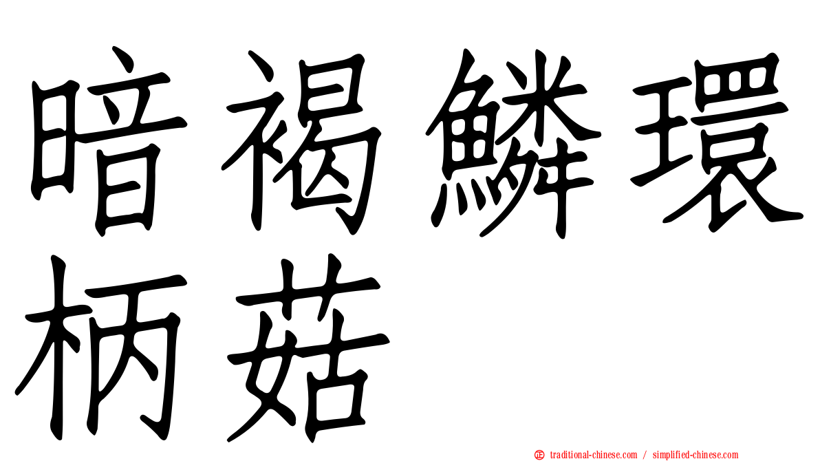 暗褐鱗環柄菇
