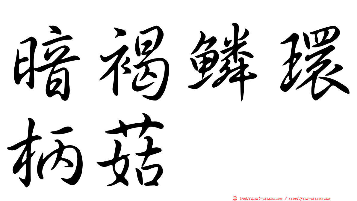 暗褐鱗環柄菇