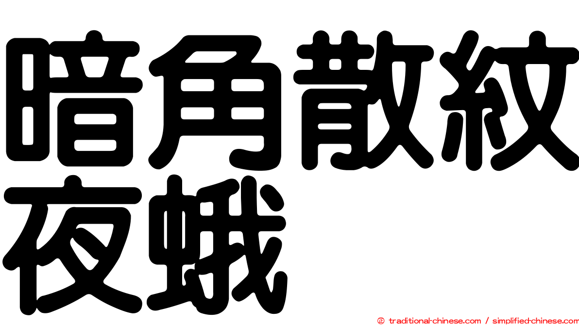 暗角散紋夜蛾
