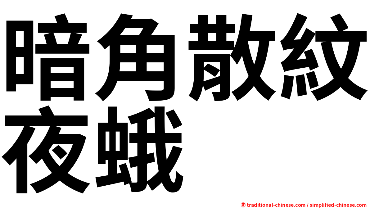 暗角散紋夜蛾