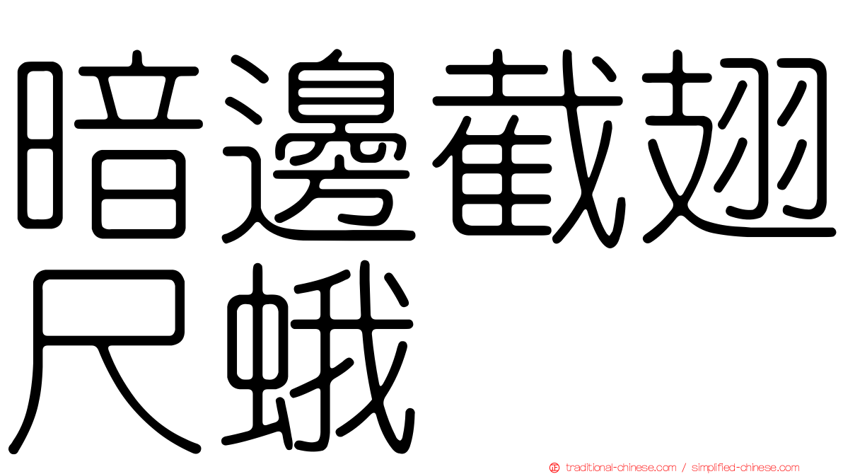 暗邊截翅尺蛾