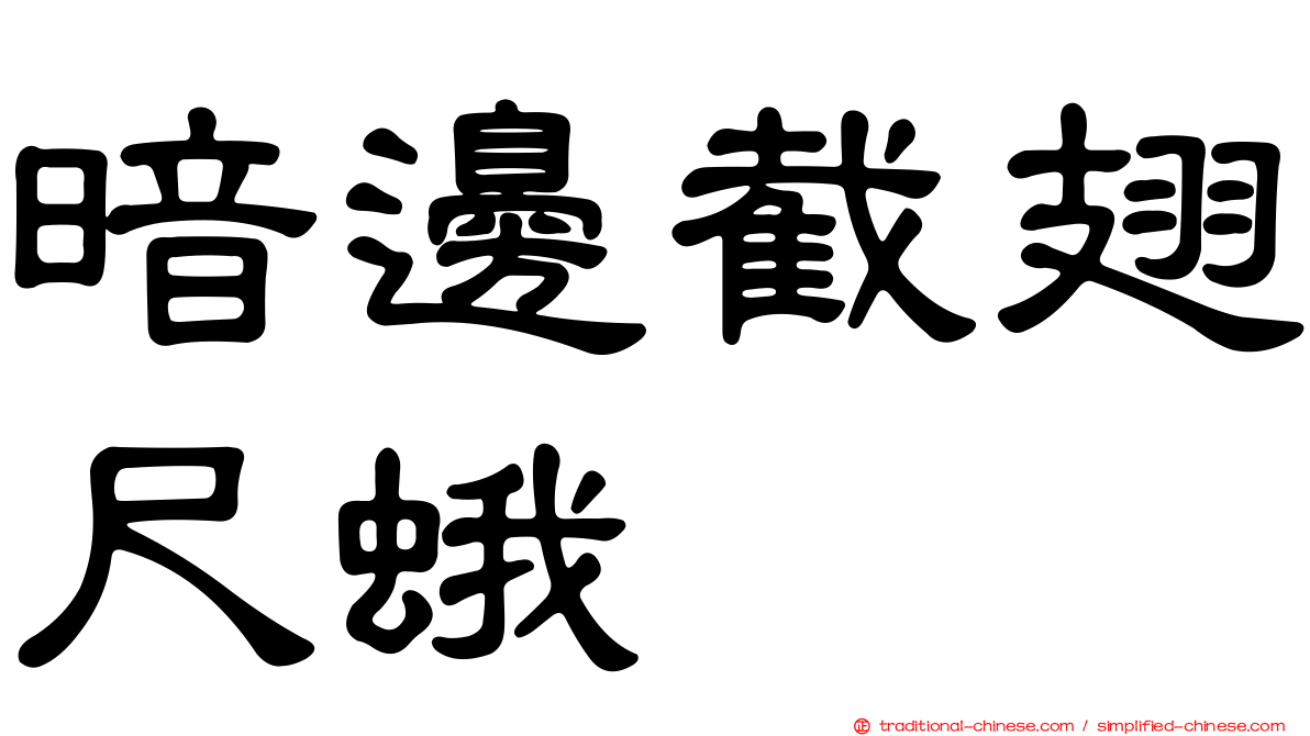 暗邊截翅尺蛾