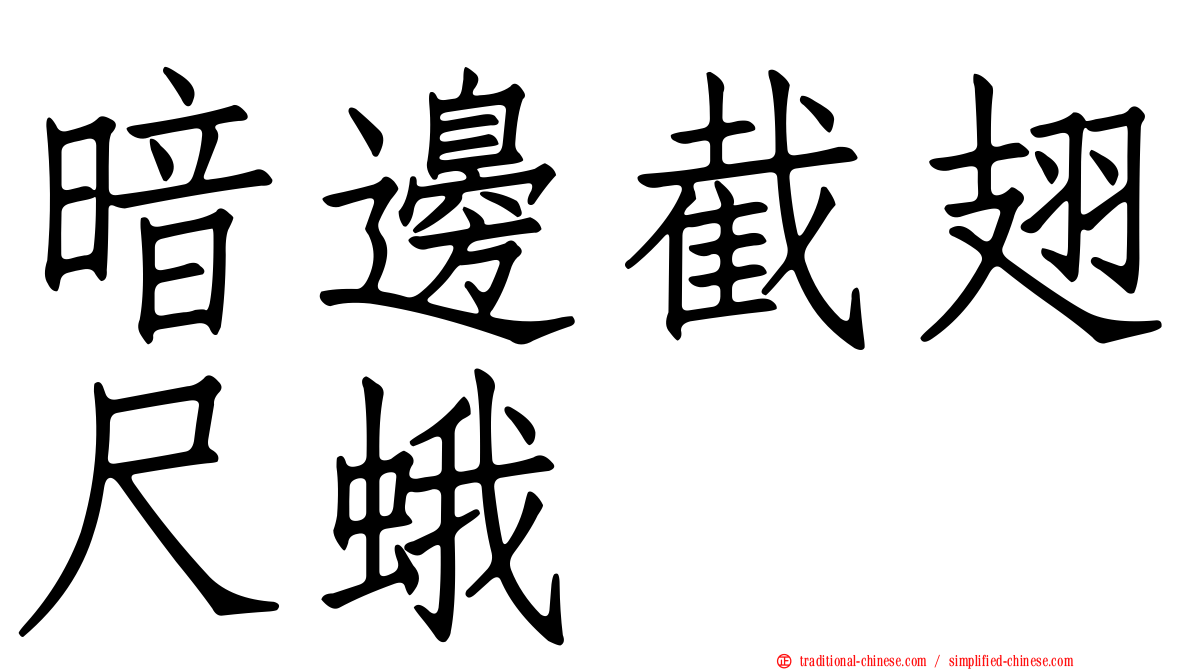 暗邊截翅尺蛾
