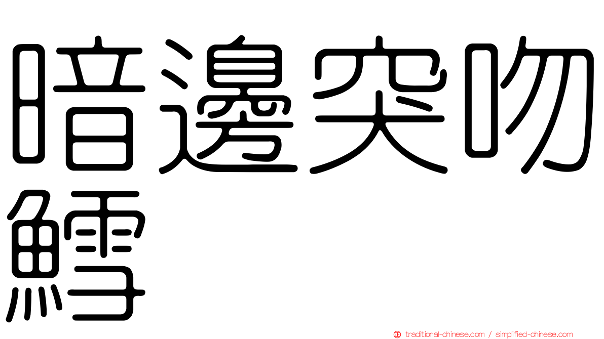 暗邊突吻鱈
