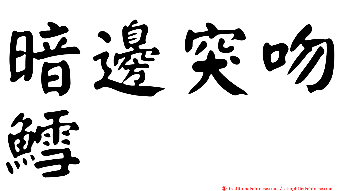 暗邊突吻鱈