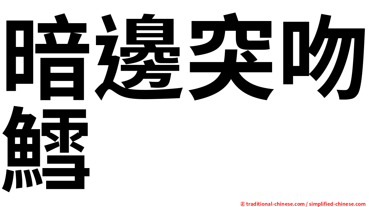 暗邊突吻鱈