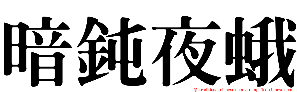 暗鈍夜蛾