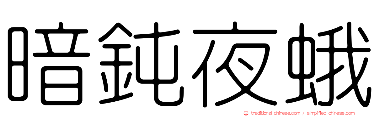 暗鈍夜蛾