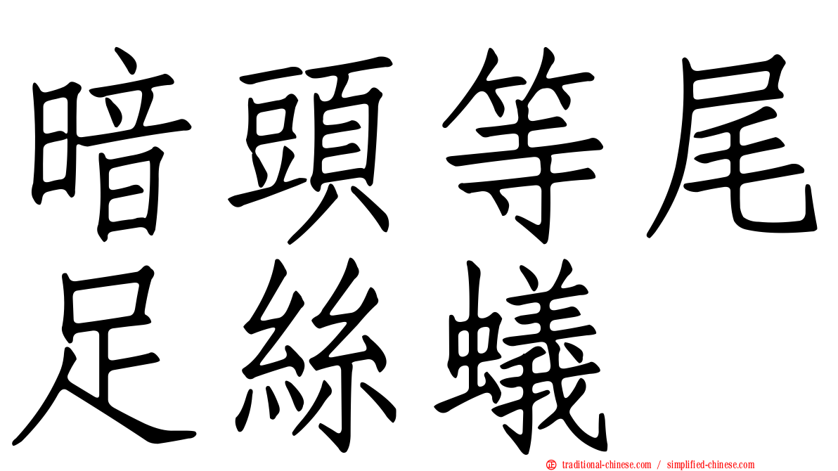 暗頭等尾足絲蟻