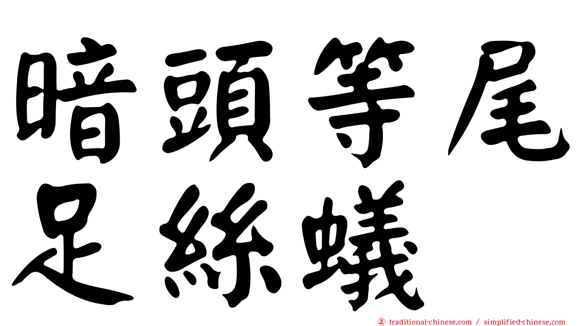 暗頭等尾足絲蟻