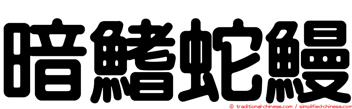 暗鰭蛇鰻