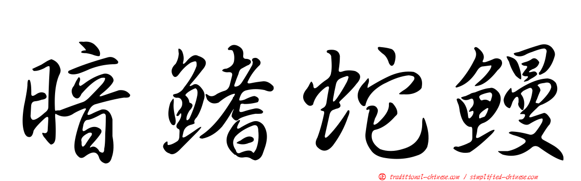 暗鰭蛇鰻