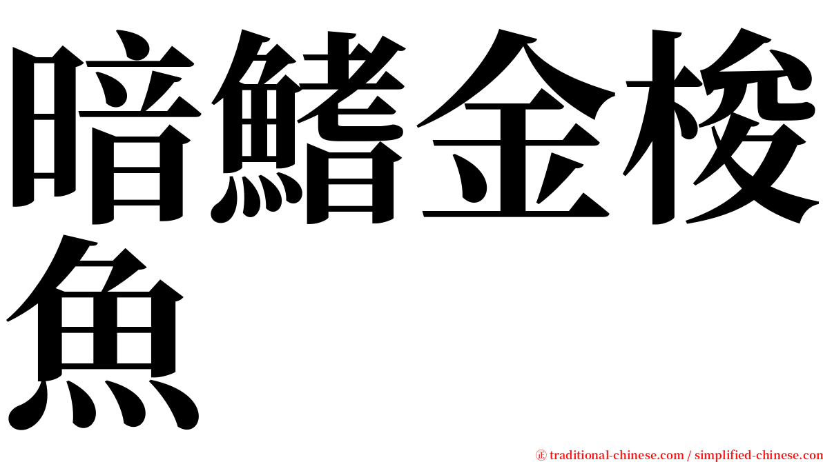 暗鰭金梭魚 serif font