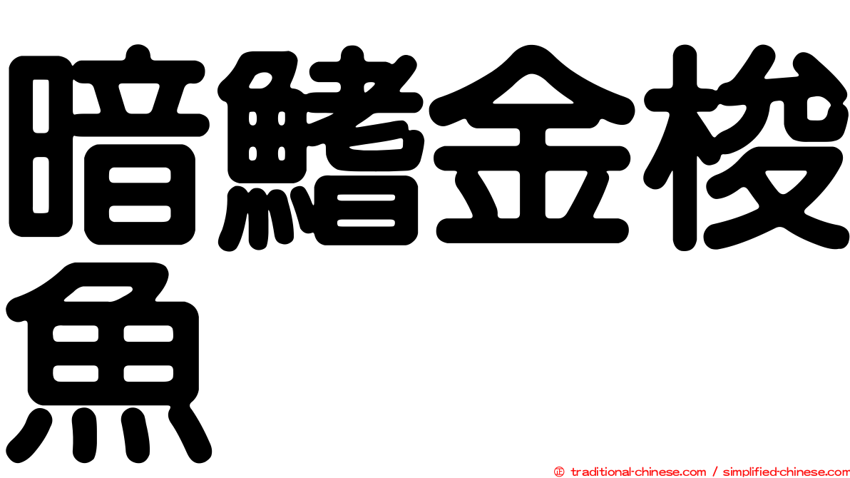 暗鰭金梭魚