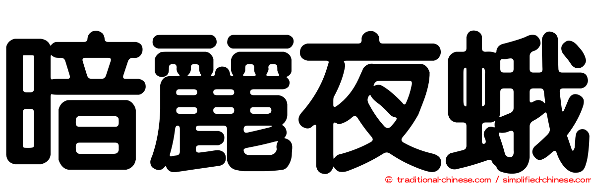 暗麗夜蛾