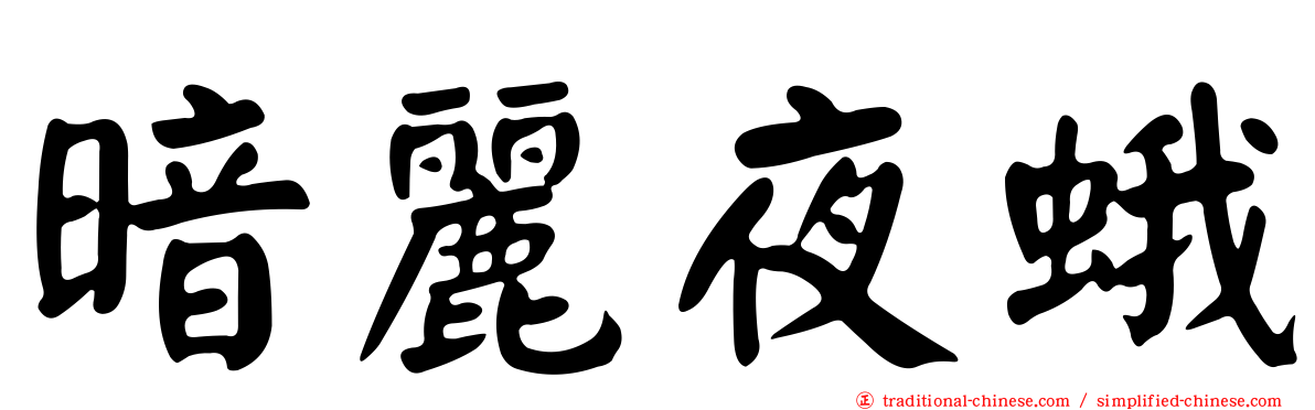 暗麗夜蛾