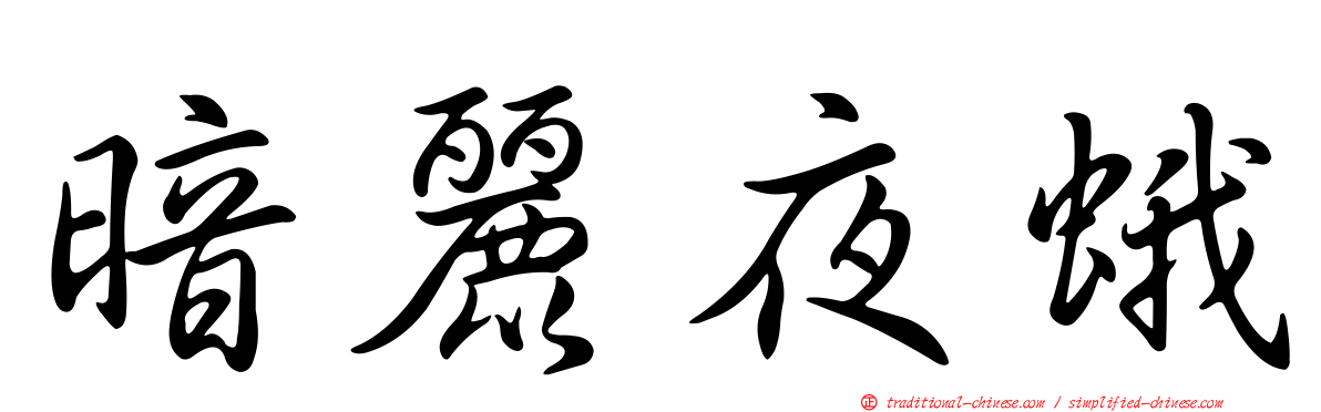 暗麗夜蛾