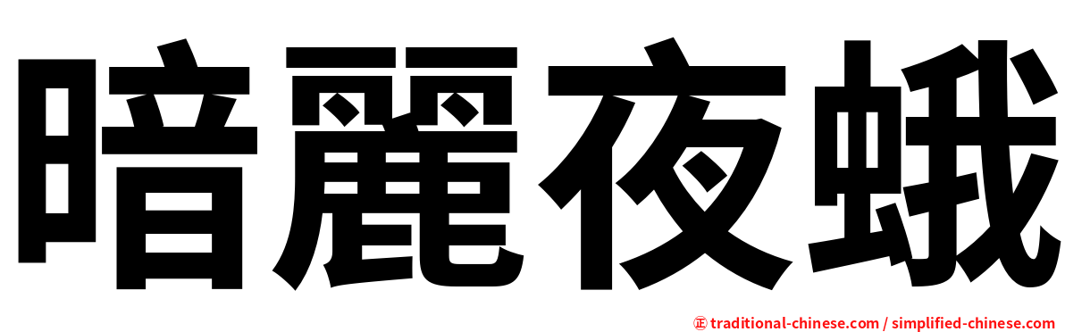 暗麗夜蛾
