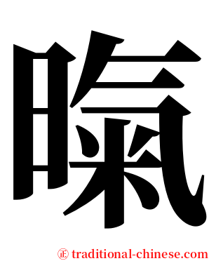 暣 serif font
