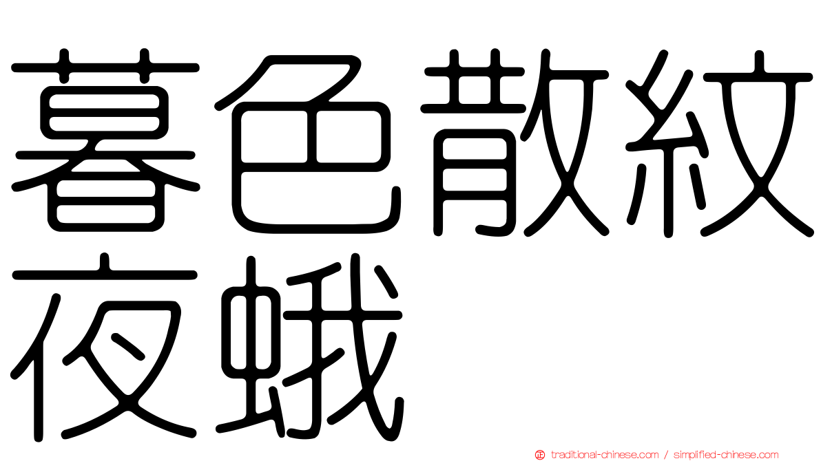 暮色散紋夜蛾