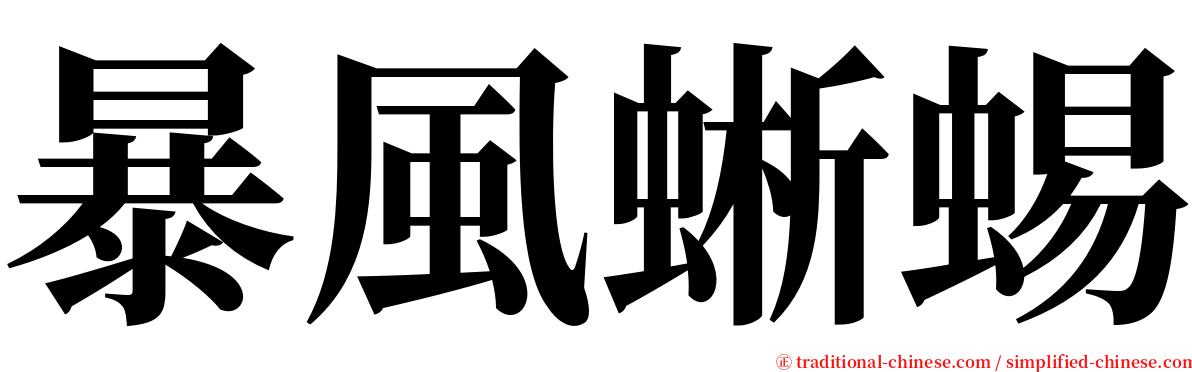 暴風蜥蜴 serif font