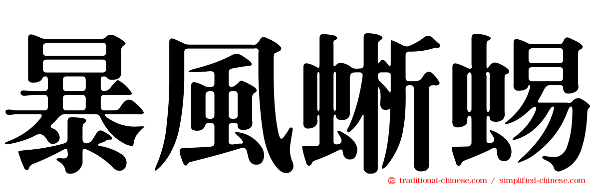 暴風蜥蜴