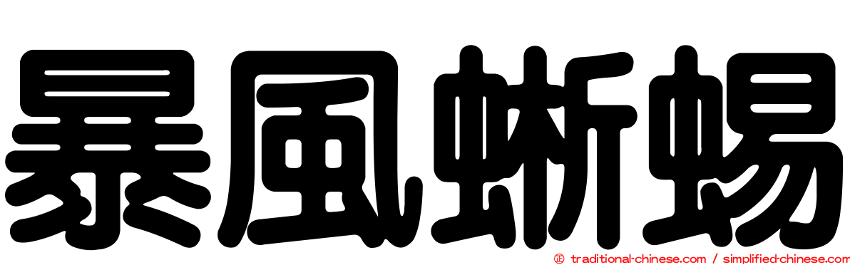 暴風蜥蜴