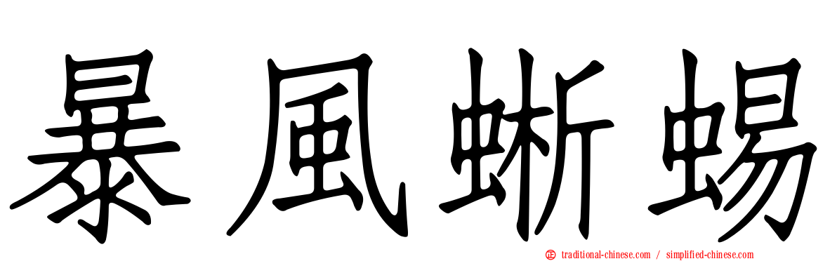 暴風蜥蜴
