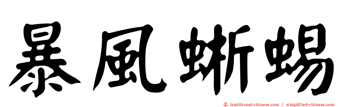 暴風蜥蜴