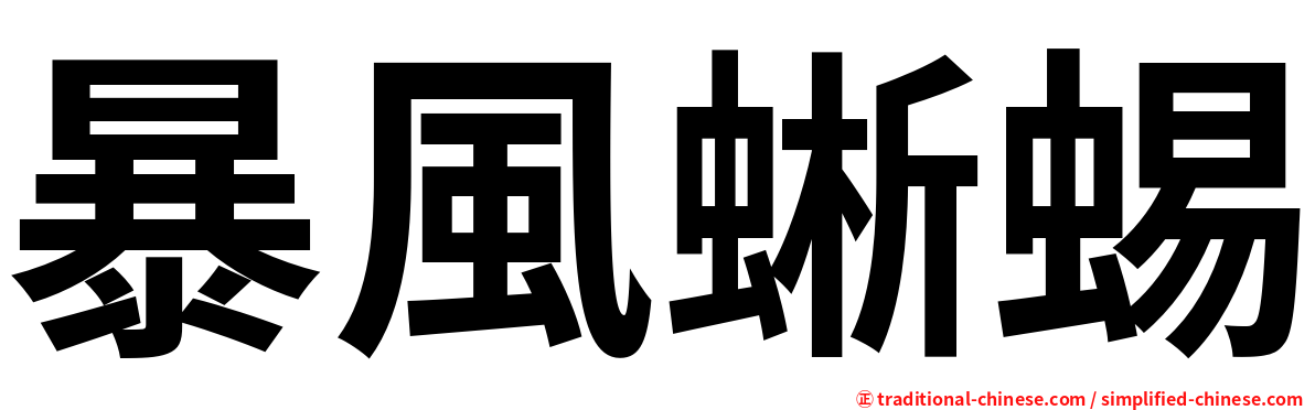 暴風蜥蜴