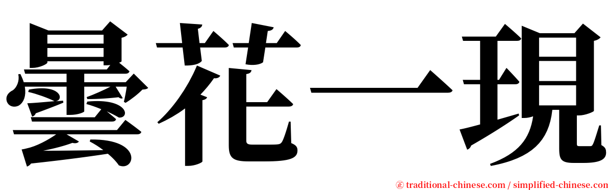 曇花一現 serif font