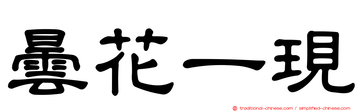 曇花一現