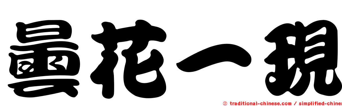 曇花一現