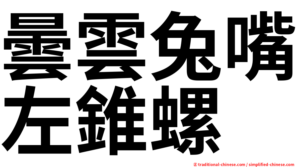 曇雲兔嘴左錐螺