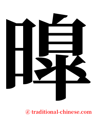 曍 serif font
