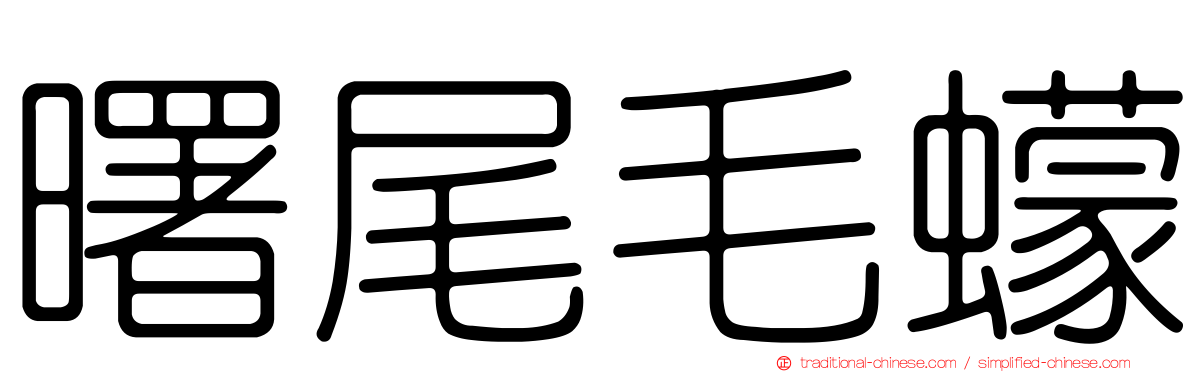 曙尾毛蠓