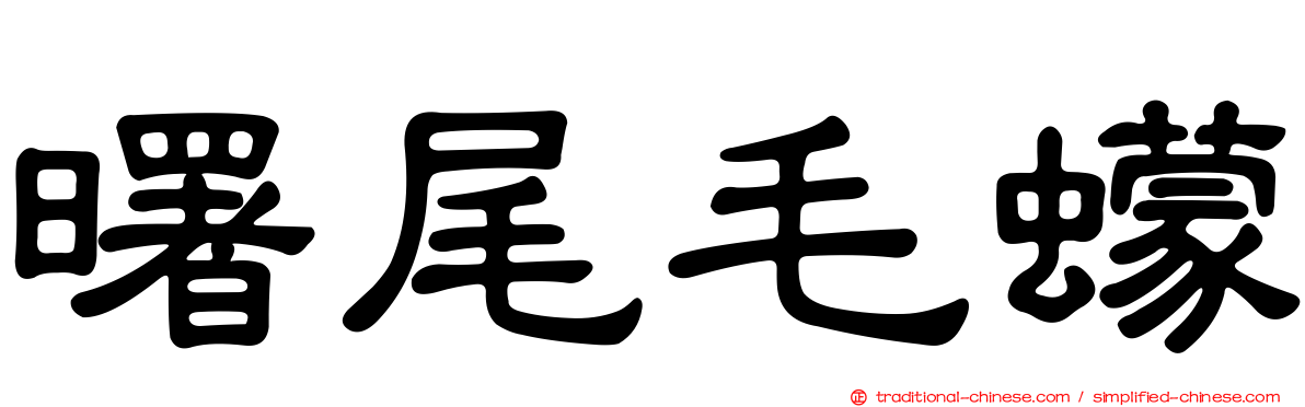 曙尾毛蠓