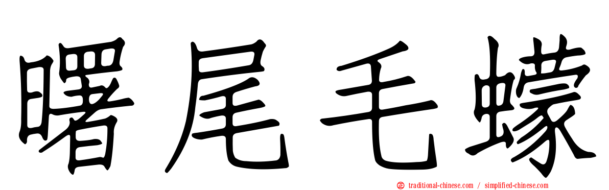 曙尾毛蠓