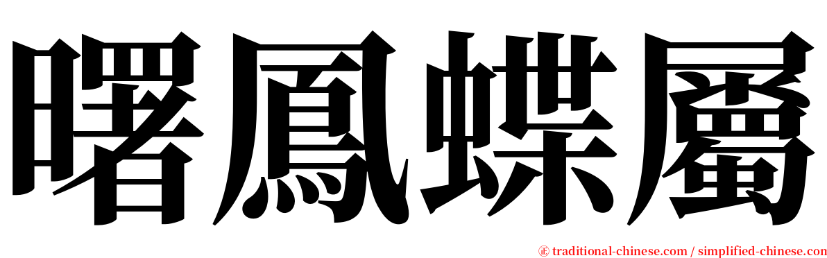曙鳳蝶屬 serif font