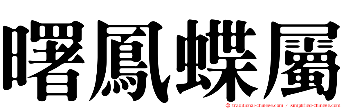 曙鳳蝶屬
