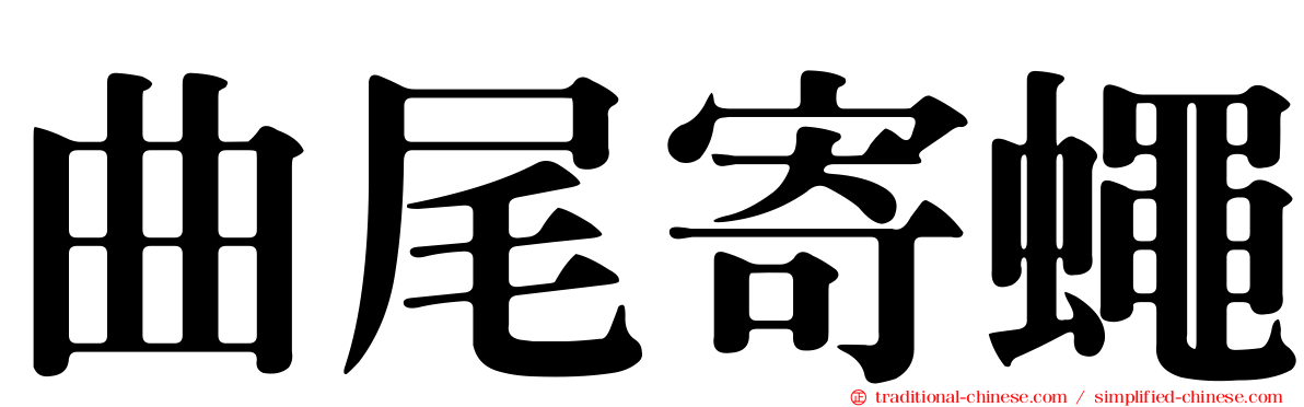 曲尾寄蠅