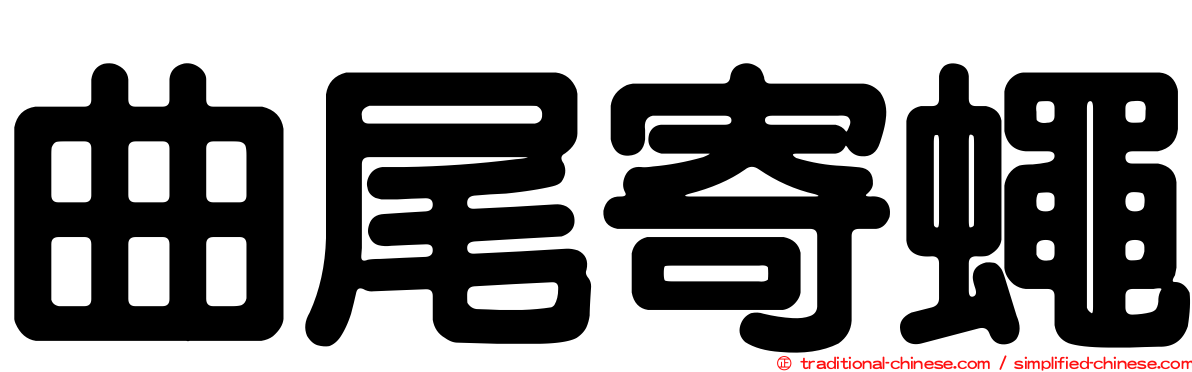 曲尾寄蠅
