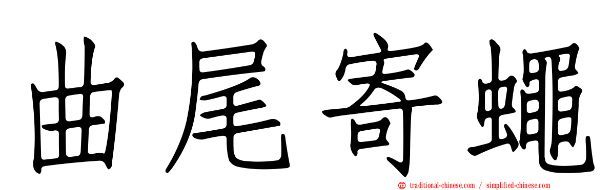 曲尾寄蠅
