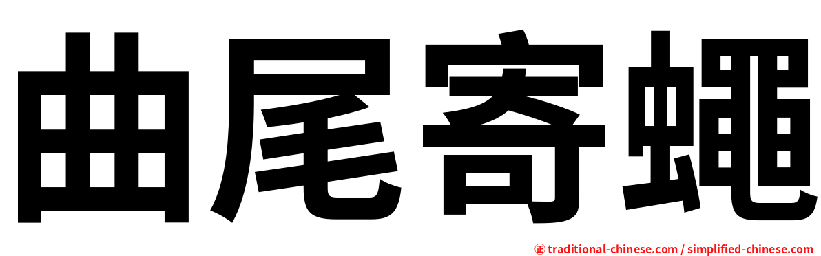 曲尾寄蠅