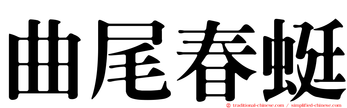 曲尾春蜓