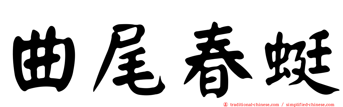 曲尾春蜓