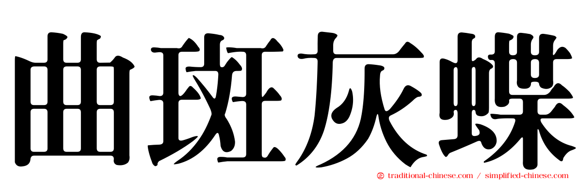 曲斑灰蝶
