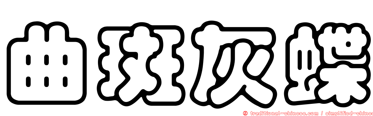 曲斑灰蝶